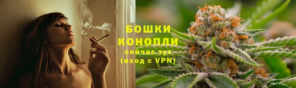 a pvp Белокуриха