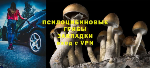 марки lsd Белоозёрский